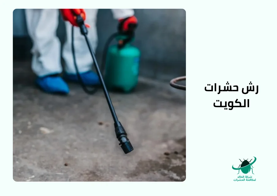 رش حشرات الكويت