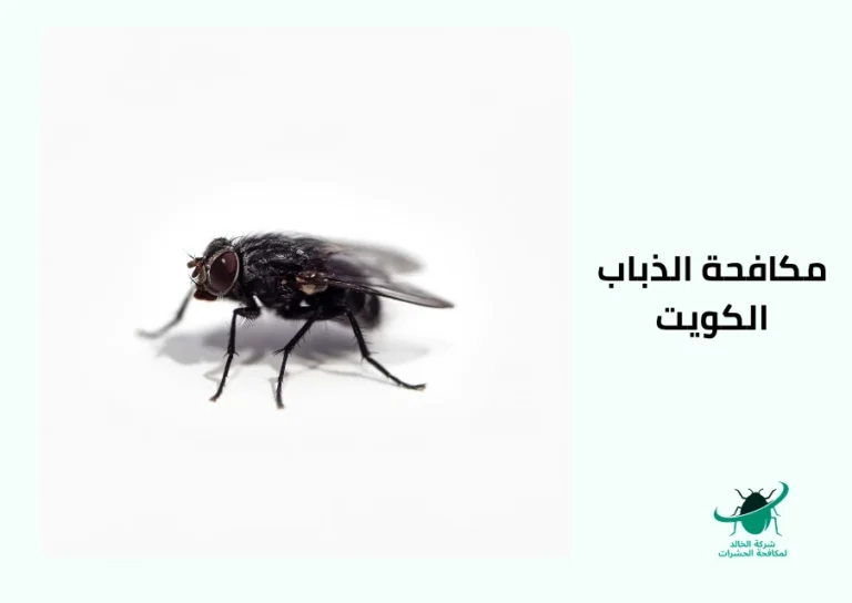 شركة مكافحة الذباب بالكويت