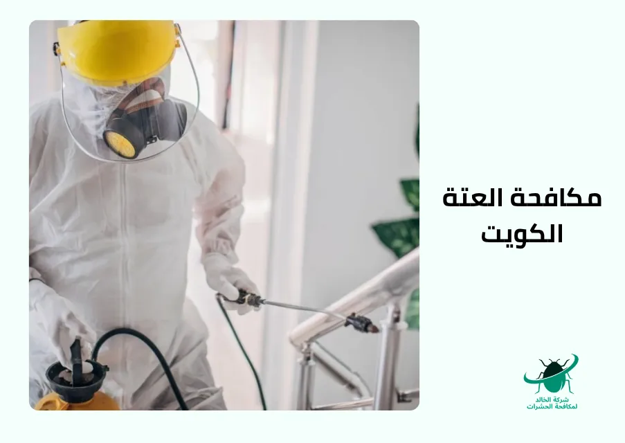 مكافحة العتة الكويت