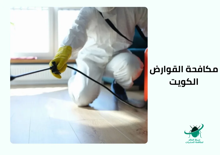 مكافحة القوارض الكويت