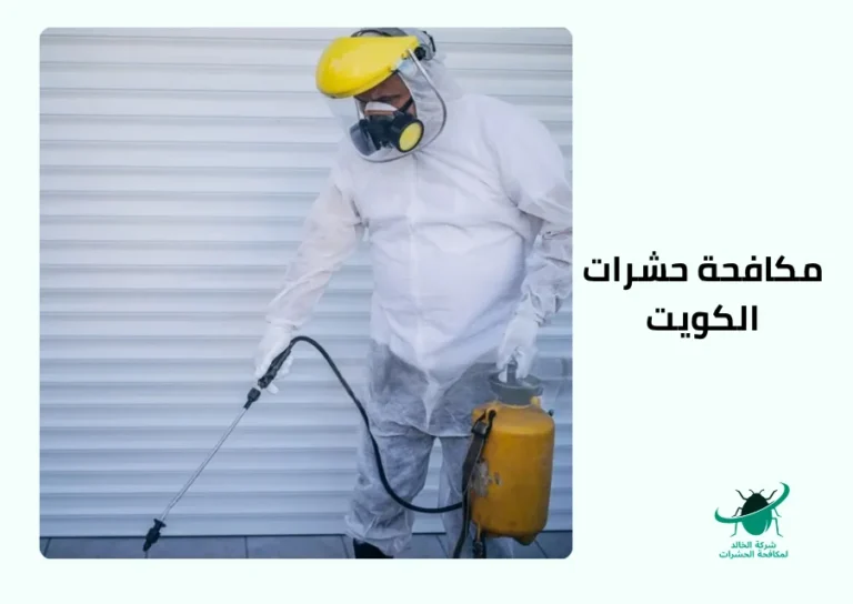 مكافحة حشرات الكويت